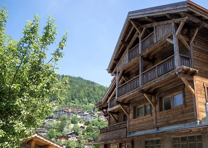Du Samoyède Morzine